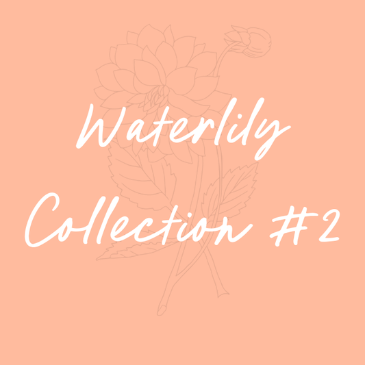 Waterlily Collection #2