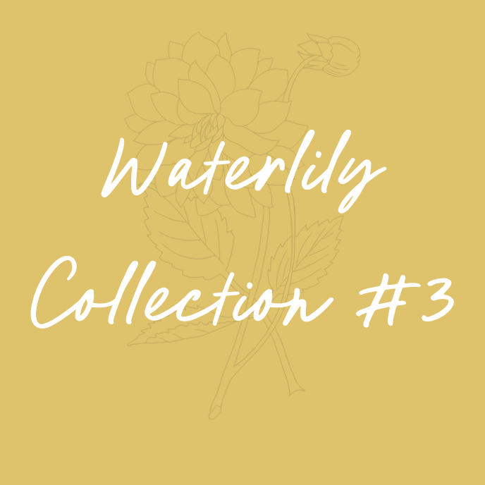 Waterlily Collection #3