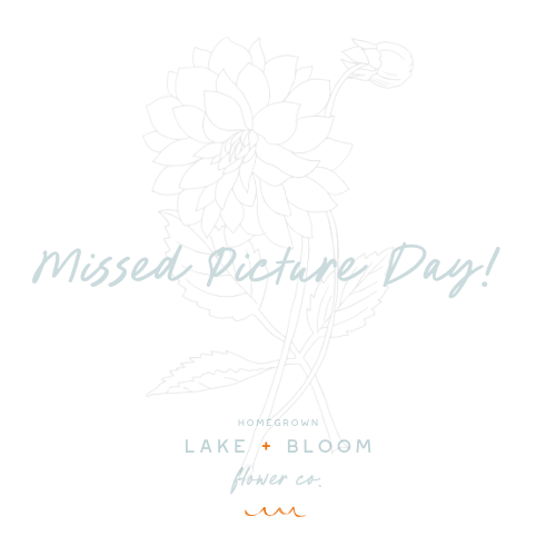 Bloomquist Blush